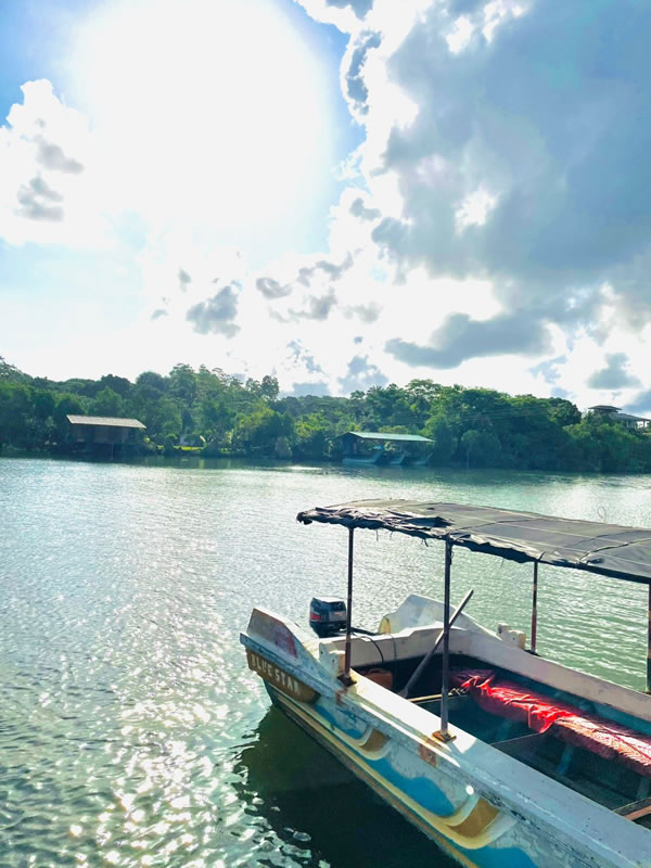 495518871_633776796358281_5129529871395226127_n