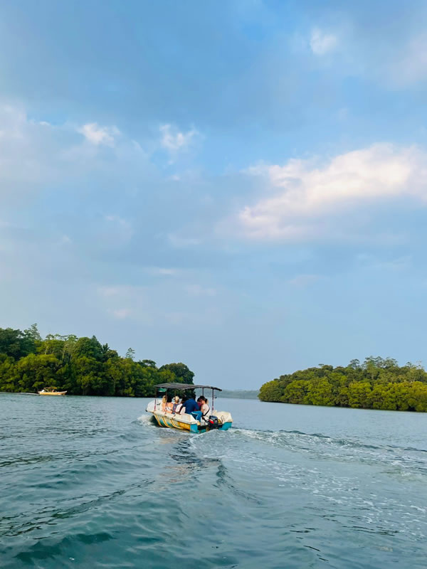 509360934_666957959706831_4144131603204116814_n